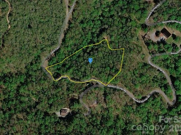 650 Bannack Springs Road, Whittier, NC 28789