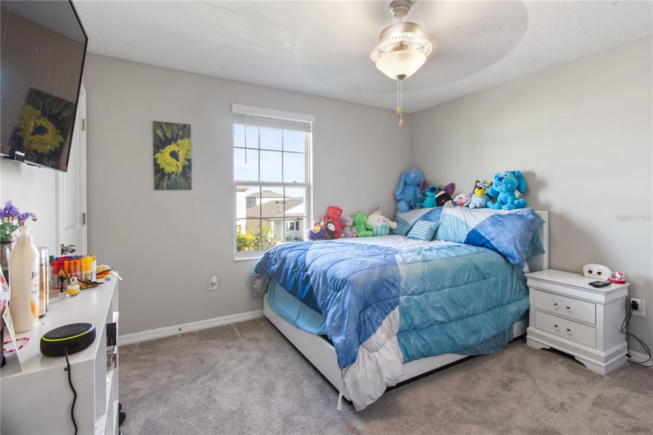 15541 Colt Creek Place, Sun City Center, FL 33573 Photo