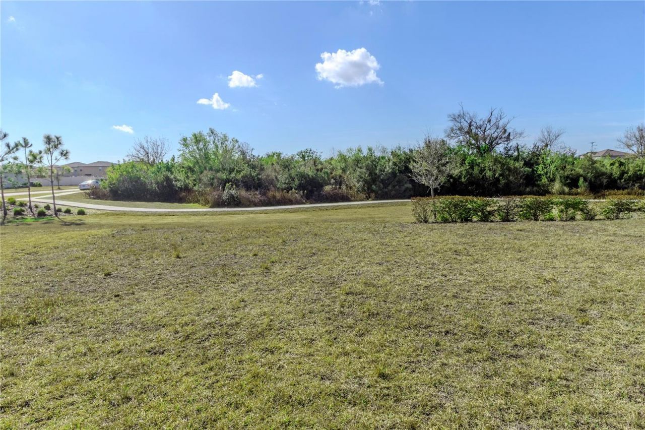 15541 Colt Creek Place, Sun City Center, FL 33573 Photo