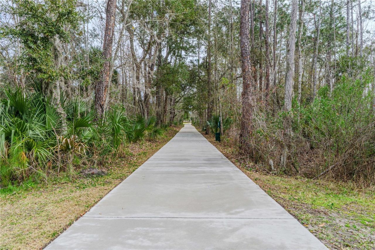 3102 Meleto Boulevard, New Smyrna Beach, FL 32168 Photo