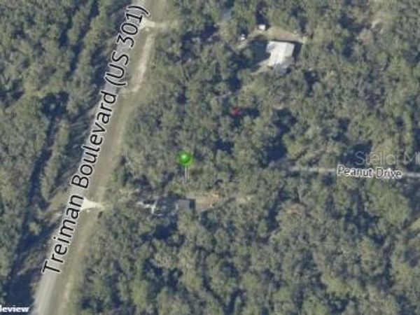 7466 TREIMAN BOULEVARD, WEBSTER, FL 33597