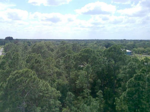 000 NE 189TH LANE, Unit Lot 19, CITRA, FL 32113