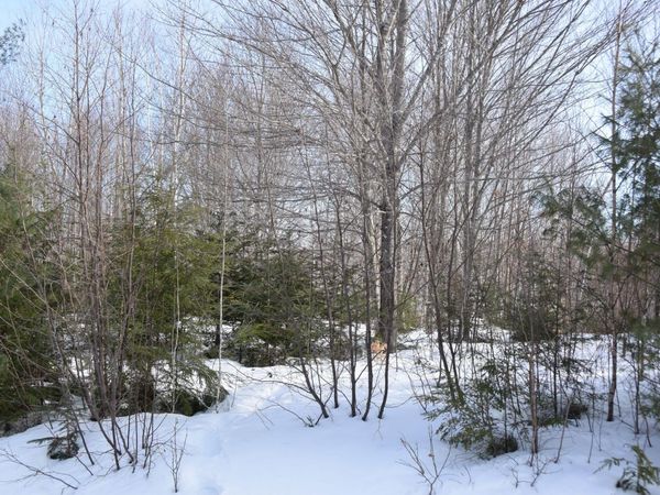 M7 L13-1 Pine Bluff Road , Embden, ME 04958