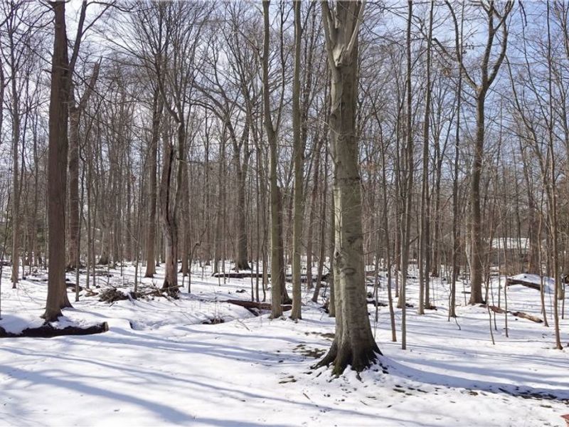 17886 Lost Trail, Chagrin Falls, OH 44023 Photo 8