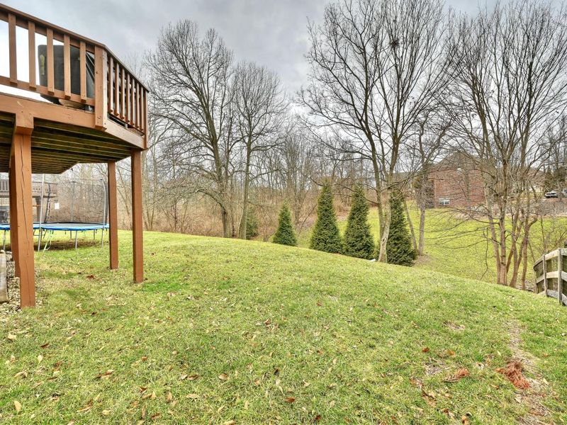 1068 Charley Court, Union, KY 41091 Photo 26