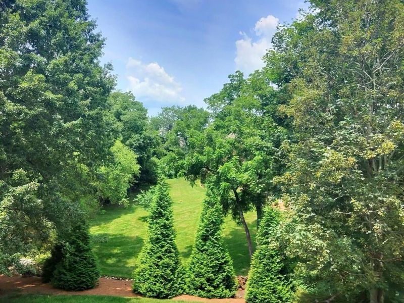 1068 Charley Court, Union, KY 41091 Photo 27