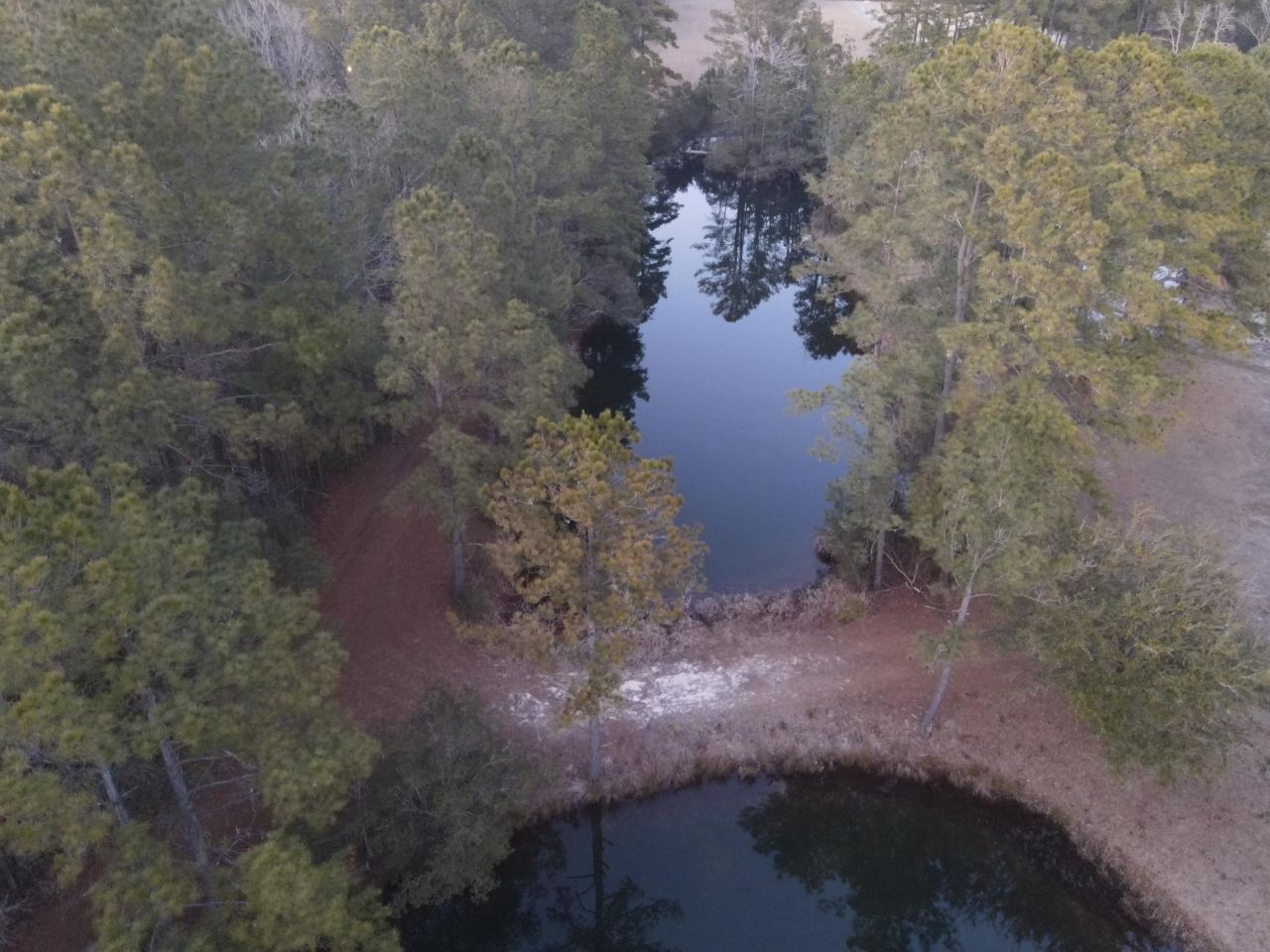 0 Jones Road Photo 5