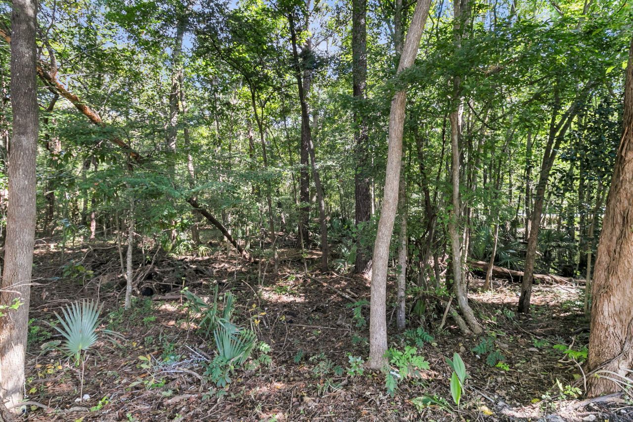 1854 Oleander Court Photo 43