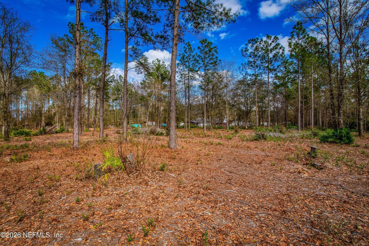 17098 Cross Branch Road, Hilliard, FL 32046 Photo