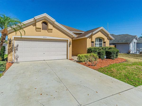 8925 SOUTHBAY DRIVE, TAMPA, FL 33615