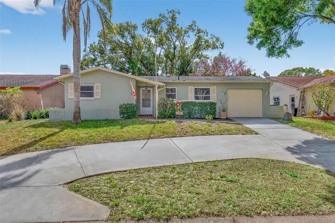 144 Talley Drive, Palm Harbor, FL 34684 Main Photo