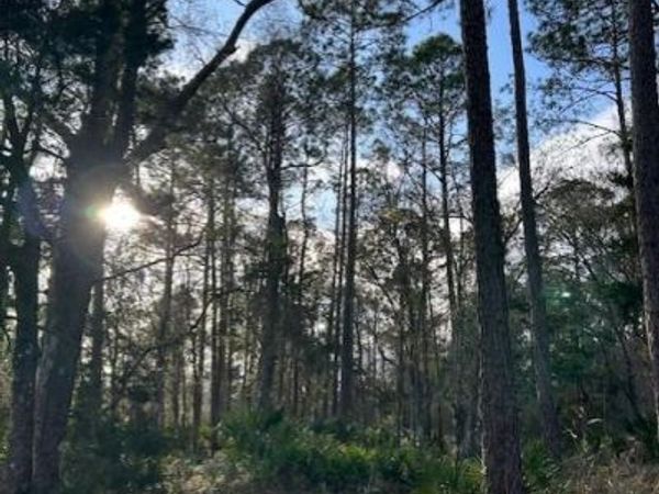 80 SW 316th Ave, Cross City, FL 32628