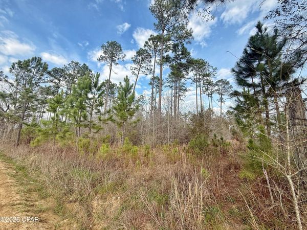 00 Palmview Lane , Cottondale, FL 32431