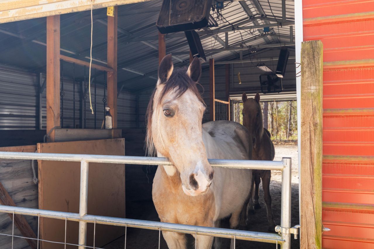 371 Rhode Drive Photo 9