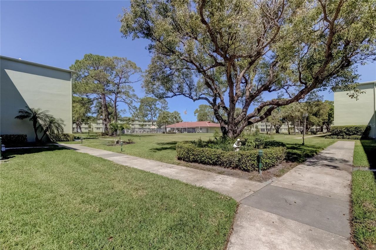 4710 Bay Street Ne, Unit 204, Saint Petersburg, FL 33703 Photo
