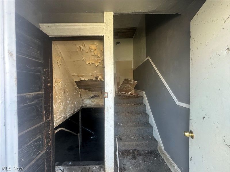 6404 Carl Avenue, Cleveland, OH 44103 Photo 31