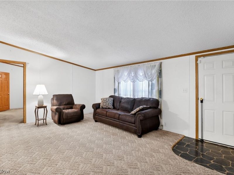 12948 S State Line Road, Petersburg, OH 44454 Photo 16