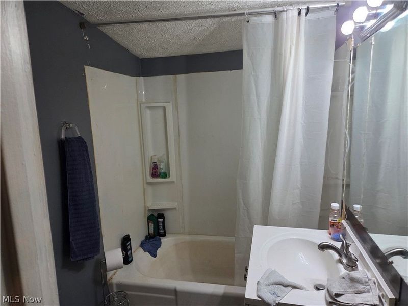 116 Taylor Street, Wellington, OH 44090 Photo 10