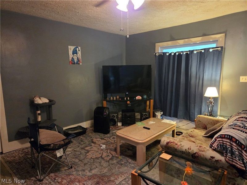 116 Taylor Street, Wellington, OH 44090 Photo 9