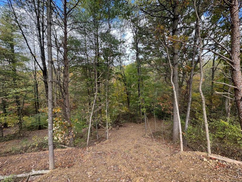 7459 Township Rd 215-A SE, Unit (Tract 5 a, Corning, OH 43730 Photo 12