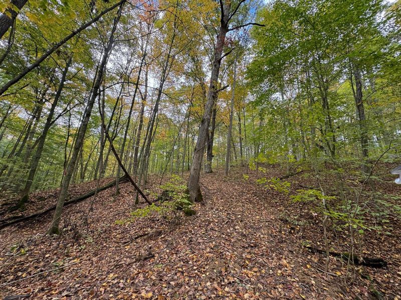 7459 Township Rd 215-A SE, Unit (Tract 5 a, Corning, OH 43730 Photo 13