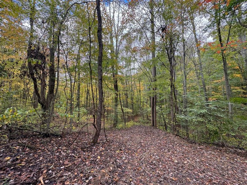 7459 Township Rd 215-A SE, Unit (Tract 5 a, Corning, OH 43730 Photo 14