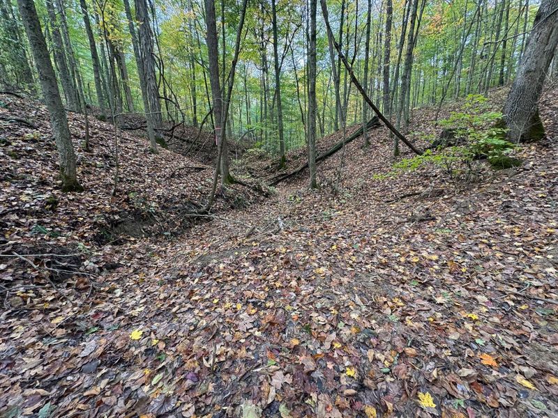 7459 Township Rd 215-A SE, Unit (Tract 5 a, Corning, OH 43730 Photo 15