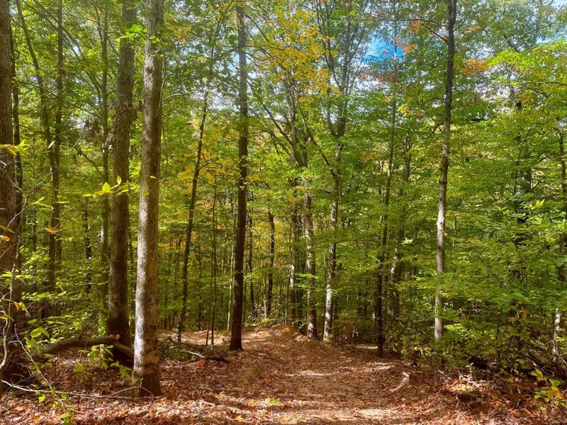 7459 Township Rd 215-A SE, Unit (Tract 5 a, Corning, OH 43730 Photo 16