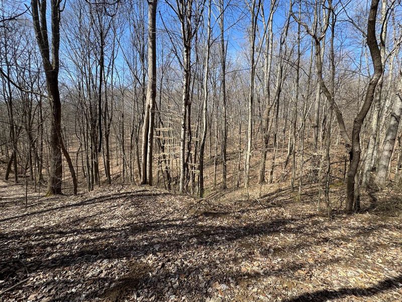 7459 Township Rd 215-A SE, Unit (Tract 5 a, Corning, OH 43730 Photo 17