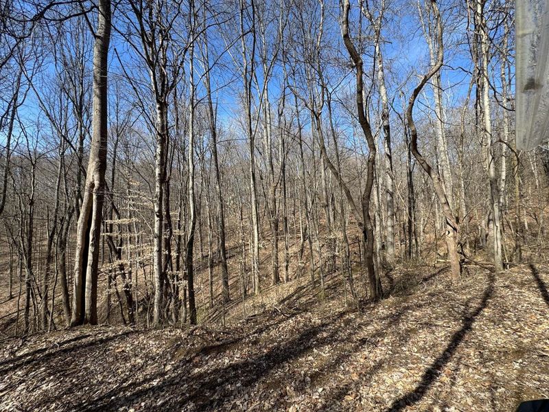 7459 Township Rd 215-A SE, Unit (Tract 5 a, Corning, OH 43730 Photo 18