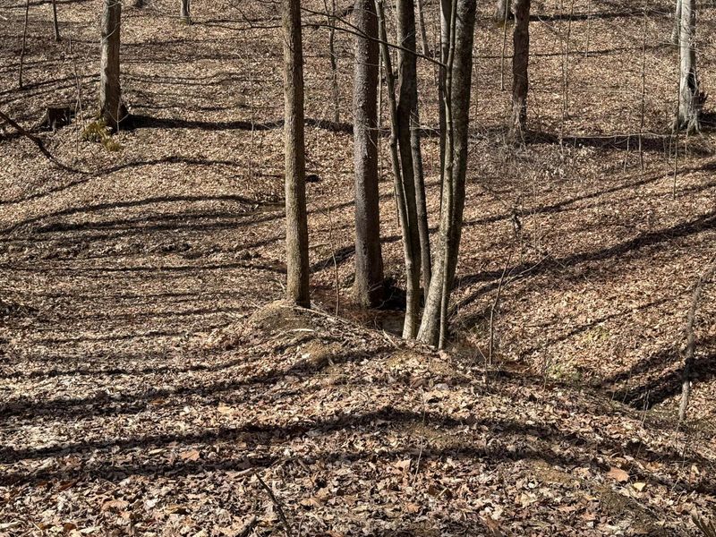 7459 Township Rd 215-A SE, Unit (Tract 5 a, Corning, OH 43730 Photo 19