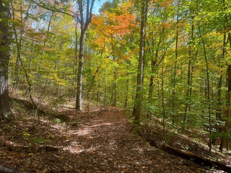 7459 Township Rd 215-A SE, Unit (Tract 5 a, Corning, OH 43730 Photo 2