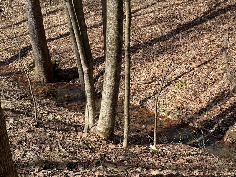 7459 Township Rd 215-A SE, Unit (Tract 5 a, Corning, OH 43730 Photo 20