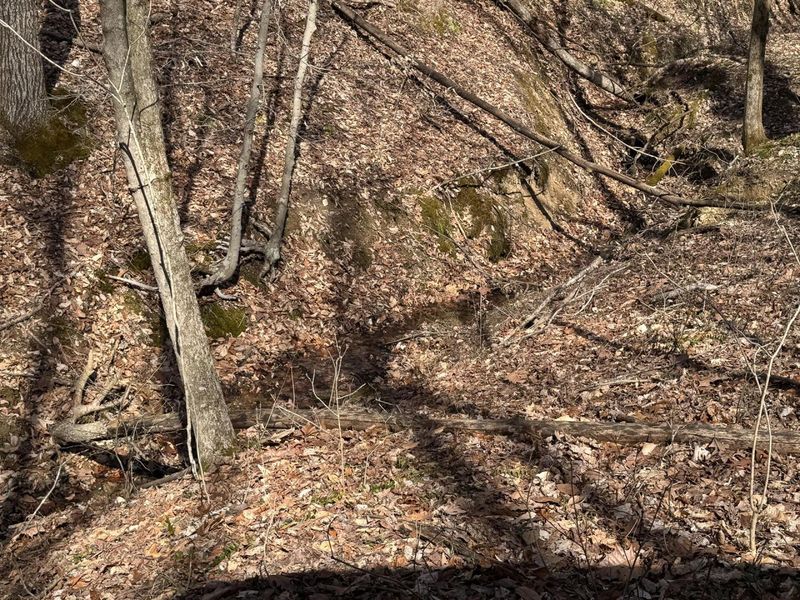 7459 Township Rd 215-A SE, Unit (Tract 5 a, Corning, OH 43730 Photo 21