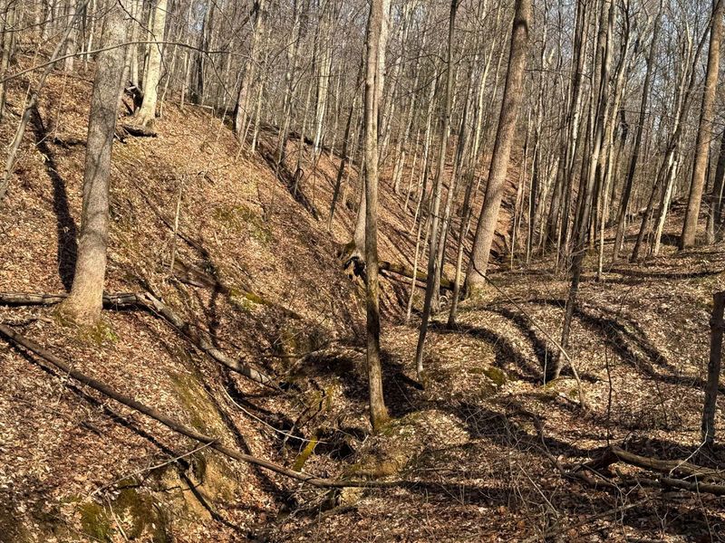 7459 Township Rd 215-A SE, Unit (Tract 5 a, Corning, OH 43730 Photo 22