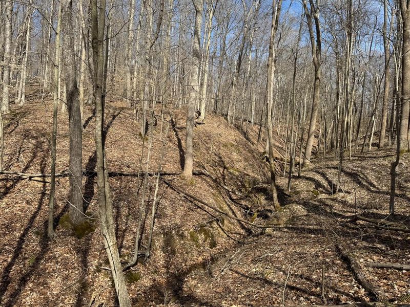 7459 Township Rd 215-A SE, Unit (Tract 5 a, Corning, OH 43730 Photo 23