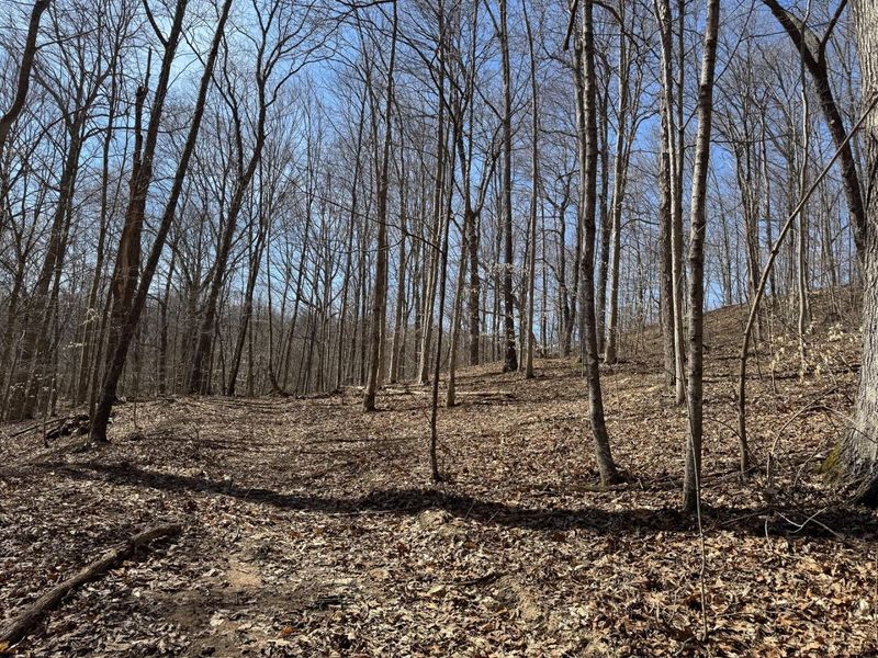 7459 Township Rd 215-A SE, Unit (Tract 5 a, Corning, OH 43730 Photo 25