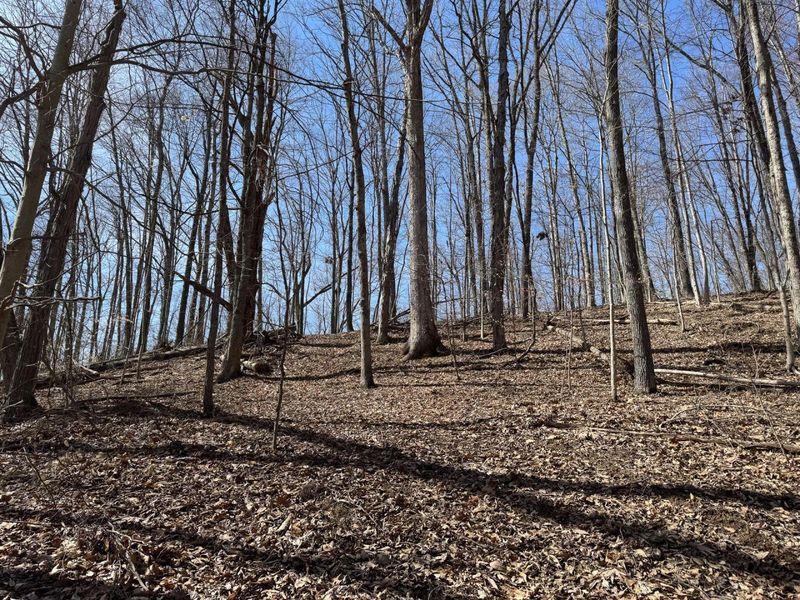 7459 Township Rd 215-A SE, Unit (Tract 5 a, Corning, OH 43730 Photo 26