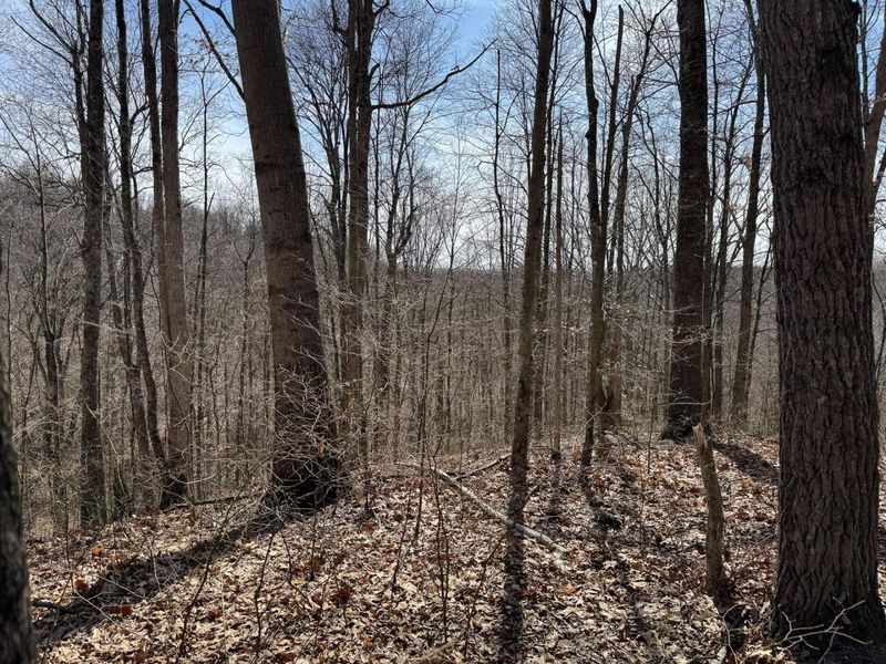 7459 Township Rd 215-A SE, Unit (Tract 5 a, Corning, OH 43730 Photo 28