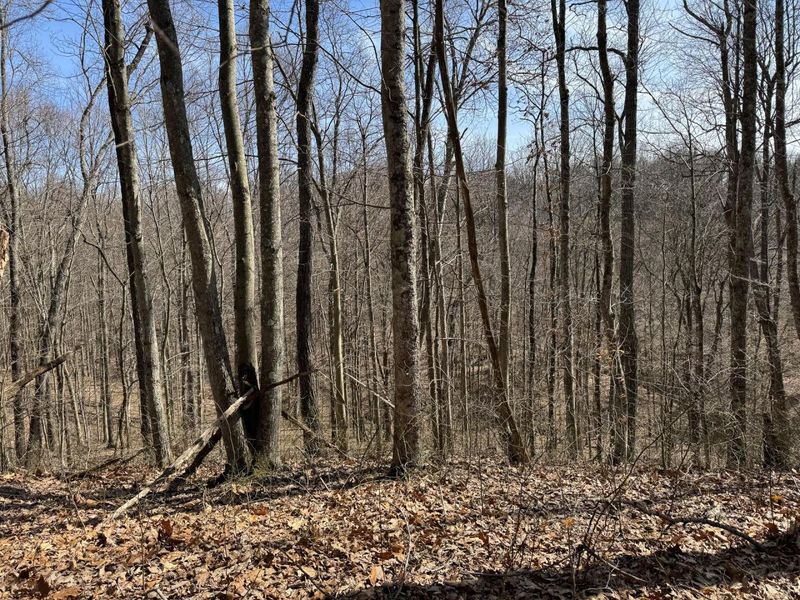 7459 Township Rd 215-A SE, Unit (Tract 5 a, Corning, OH 43730 Photo 29