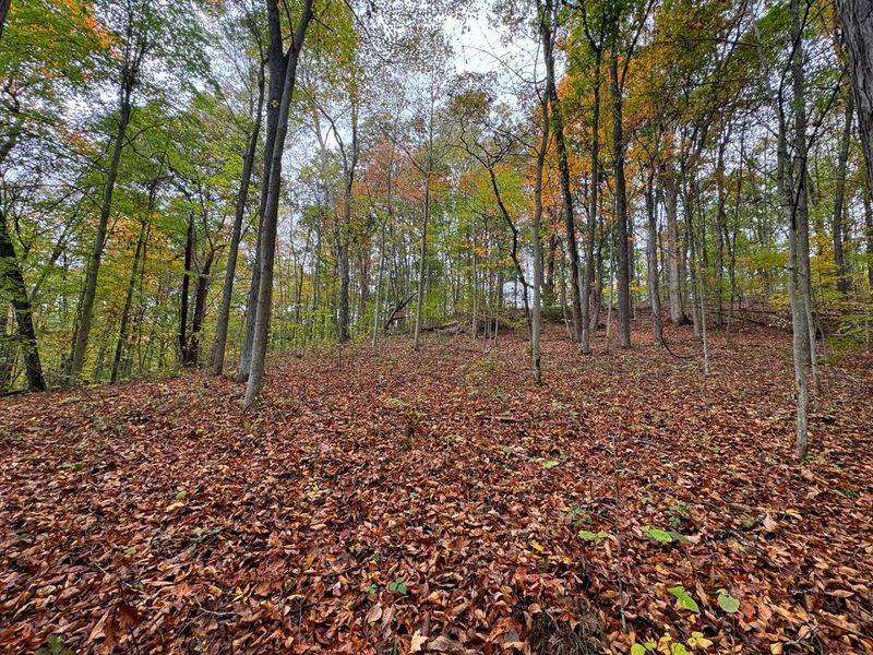 7459 Township Rd 215-A SE, Unit (Tract 5 a, Corning, OH 43730 Photo 3