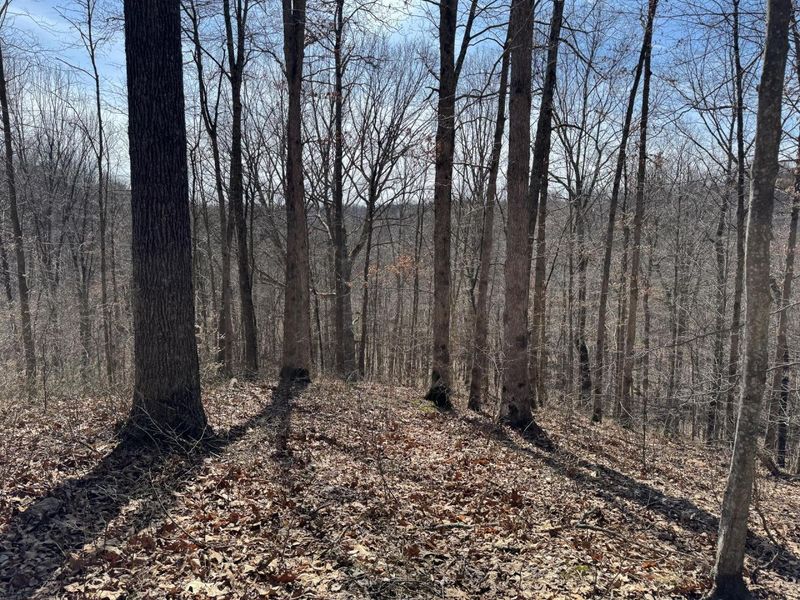 7459 Township Rd 215-A SE, Unit (Tract 5 a, Corning, OH 43730 Photo 30