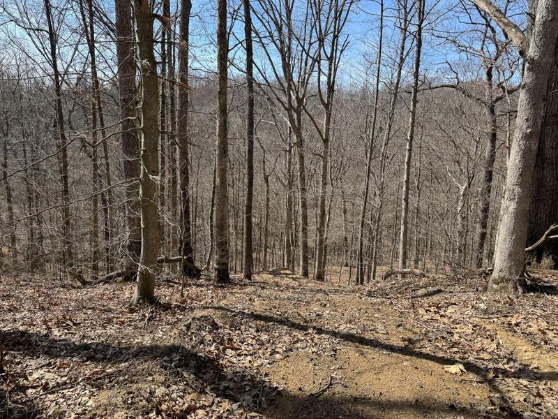 7459 Township Rd 215-A SE, Unit (Tract 5 a, Corning, OH 43730 Photo 32