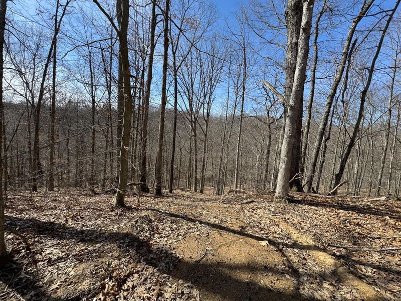 7459 Township Rd 215-A SE, Unit (Tract 5 a, Corning, OH 43730 Photo 33