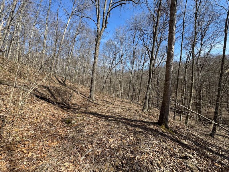 7459 Township Rd 215-A SE, Unit (Tract 5 a, Corning, OH 43730 Photo 34