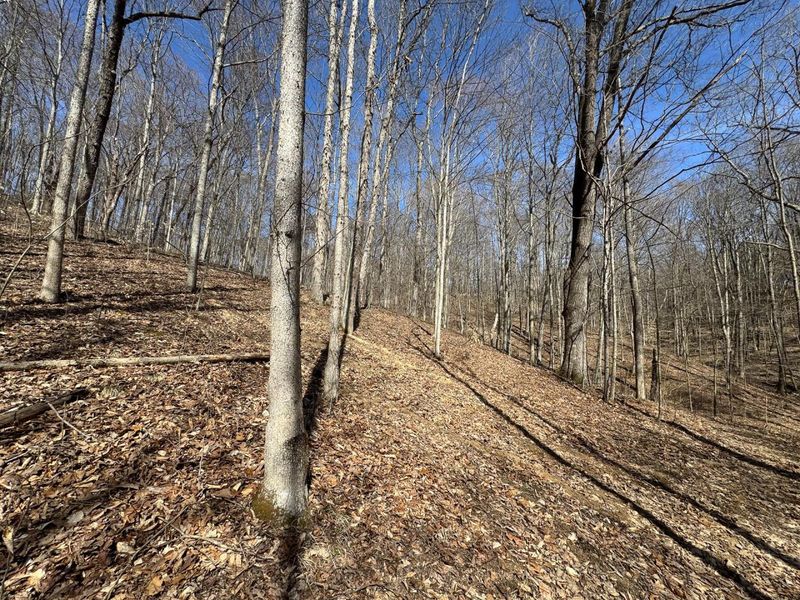 7459 Township Rd 215-A SE, Unit (Tract 5 a, Corning, OH 43730 Photo 35