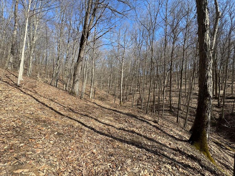 7459 Township Rd 215-A SE, Unit (Tract 5 a, Corning, OH 43730 Photo 36