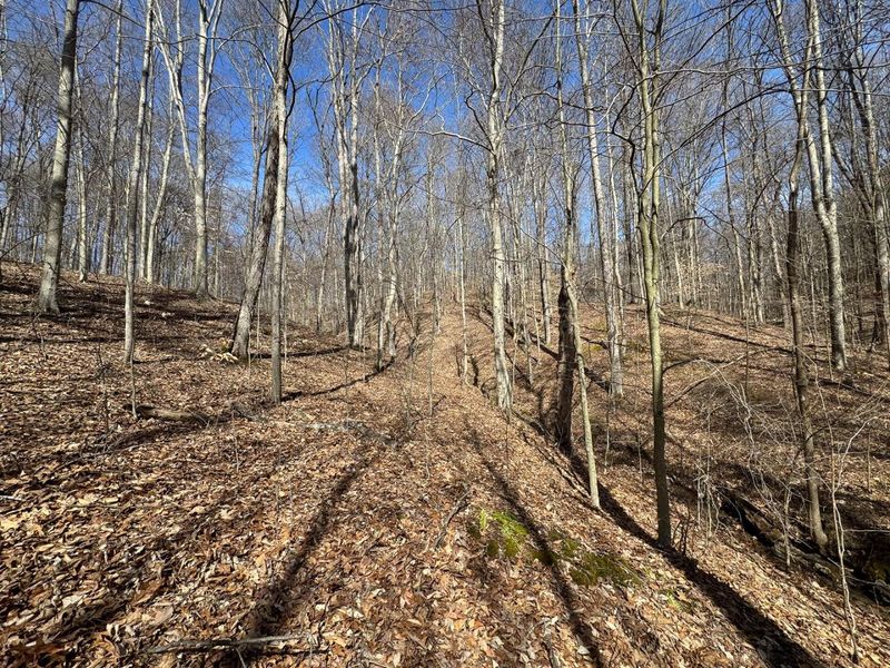 7459 Township Rd 215-A SE, Unit (Tract 5 a, Corning, OH 43730 Photo 38