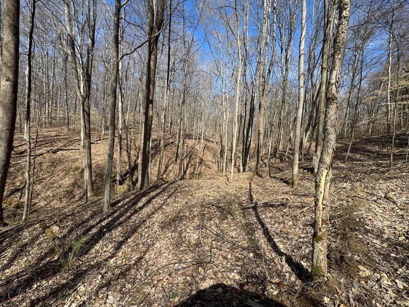 7459 Township Rd 215-A SE, Unit (Tract 5 a, Corning, OH 43730 Photo 39