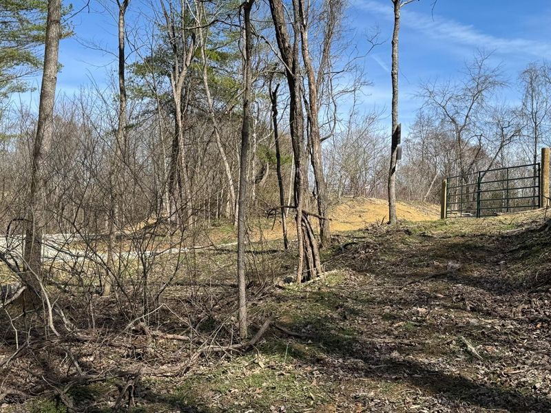 7459 Township Rd 215-A SE, Unit (Tract 5 a, Corning, OH 43730 Photo 41